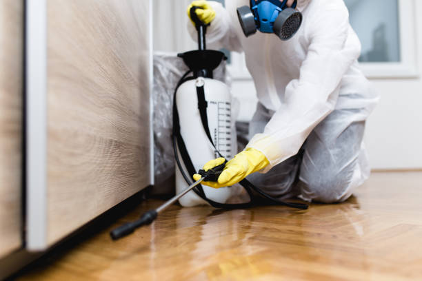Professional Pest Control in Upton, WY