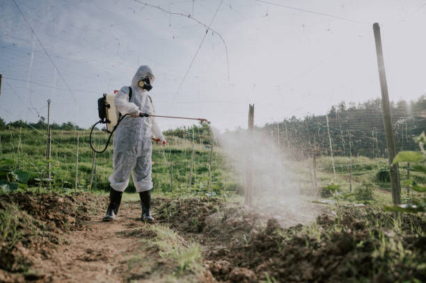 Best Best Pest Control Companies  in Upton, WY