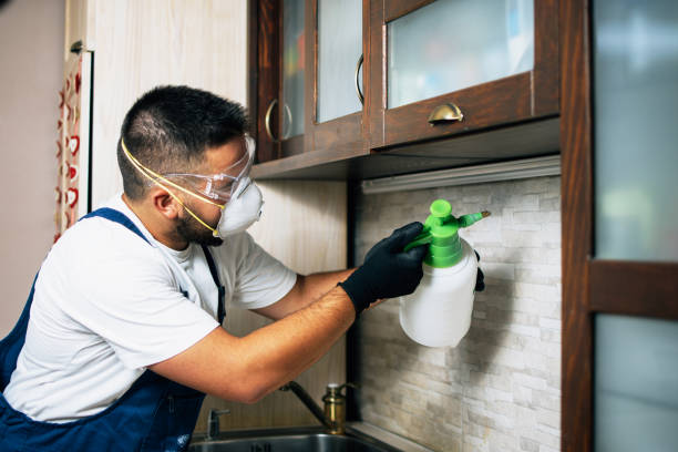 Best Rat Extermination Near Me  in Upton, WY