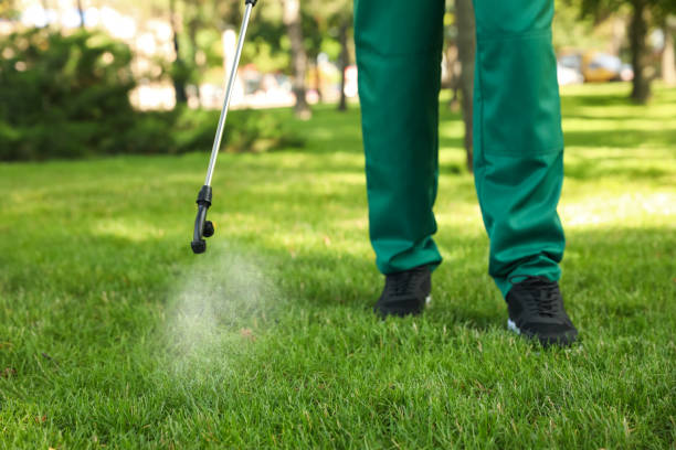Best Exterminator Services  in Upton, WY