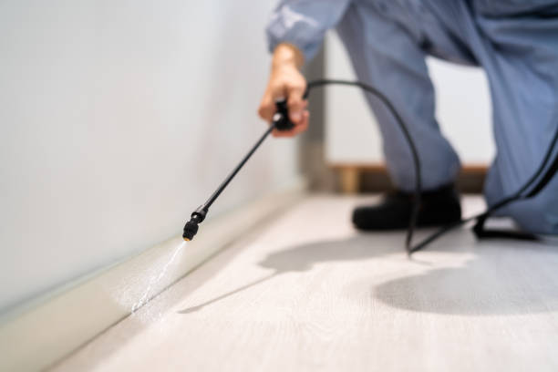 Best Wasp Removal Services  in Upton, WY