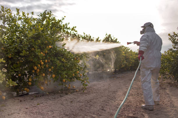 Best Local Pest Control Services  in Upton, WY