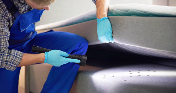 Best Cockroach Control Services  in Upton, WY