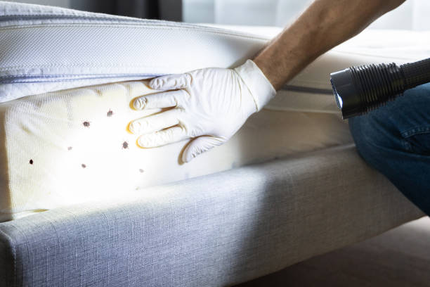 Best Wildlife Control Services  in Upton, WY