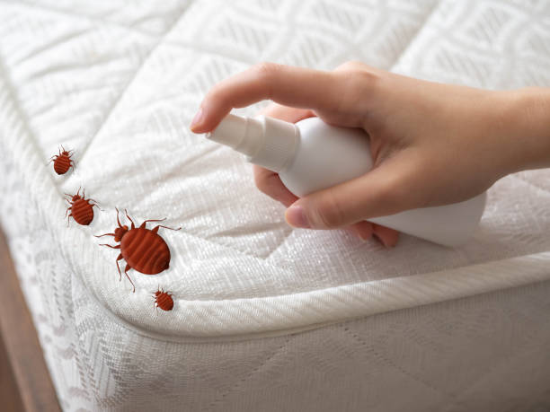 Best Flea Control Services  in Upton, WY