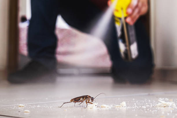 Best Pest Control Near Me in Upton, WY