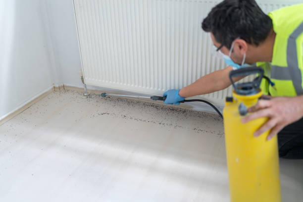 Best Ant Control Services  in Upton, WY