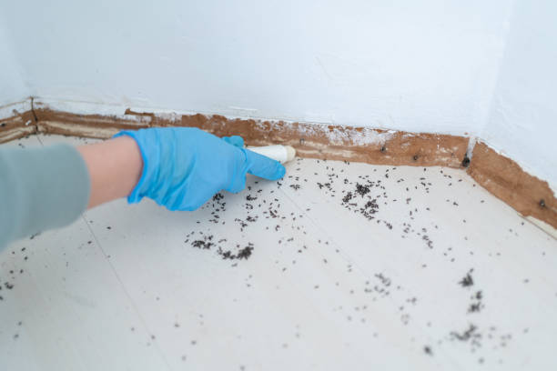 Best Residential Pest Control  in Upton, WY