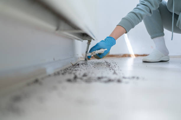 Best Pest Control for Restaurants  in Upton, WY